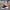Vigar – Superbequeme Latschen - Wolf Fashion