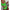WOLF Einteiliger Push-Up-Badeanzug - Wolf Fashion