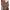WOLF Einteiliger Push-Up-Badeanzug - Wolf Fashion