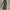 WOLF Eleganter gekerbter Kragen Blazer Kleid - FashionWOLF