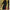 WOLF Eleganter gekerbter Kragen Blazer Kleid - FashionWOLF