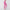 WOLF Fitnessstudio Workout Leggings - FashionWOLF