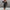 WOLF Mode Kleid mit Blumendruck - Wolf Fashion