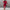 WOLF Mode Kleid mit Blumendruck - Wolf Fashion
