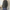 W&W | Wickel-Cardigan mit stilvollen Knopfdetails